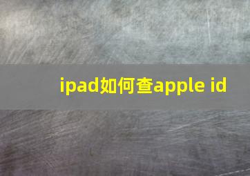 ipad如何查apple id